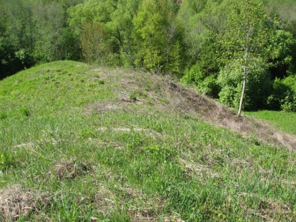 Iš užmaršties kels rajono piliakalnius