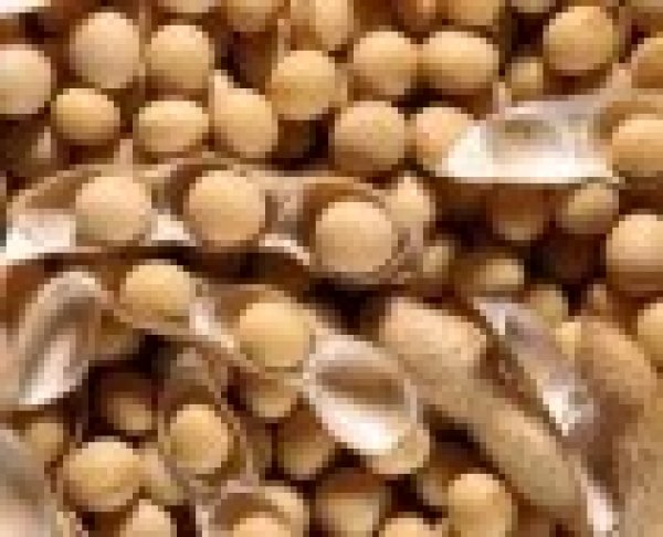 Patikslintas maisto produktų su GMO sąrašas