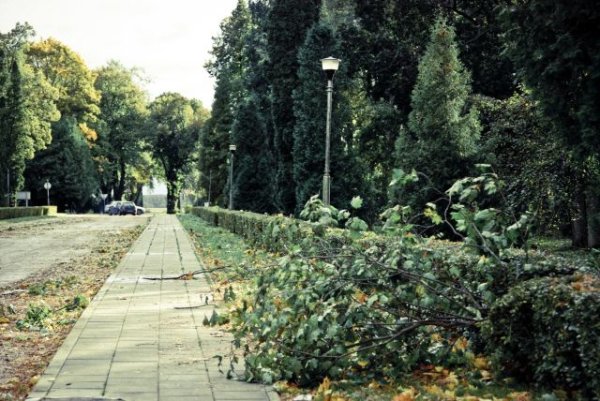 Kėdainiai nuo stipraus vėjo labai nenukentėjo
