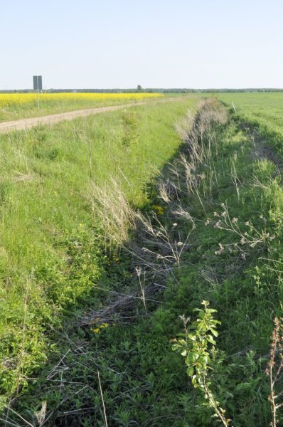 Kaimo reikalų ir aplinkosaugos komitetas svarstė, kaip geriau paskirstyti melioracijos grioviams...