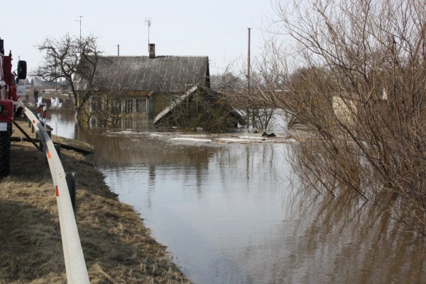 Dėl pavasarinio polaidžio