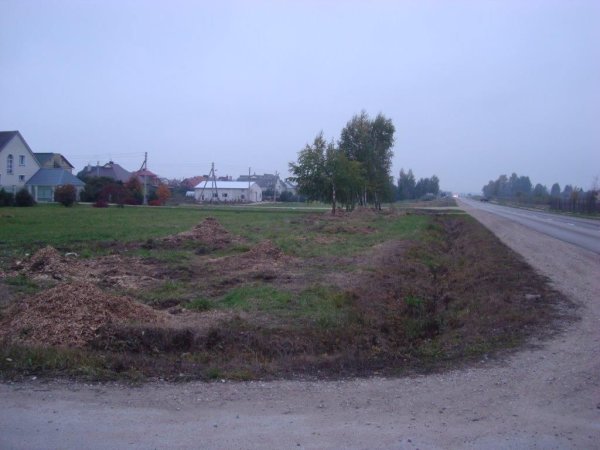 Apželdinama Gedimino gatvės pakelė