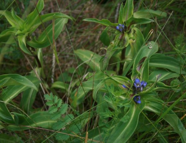 Kviečia į seminarą „Ūkininkavimas NATURA 2000 ir kitose saugomose teritorijose“ 