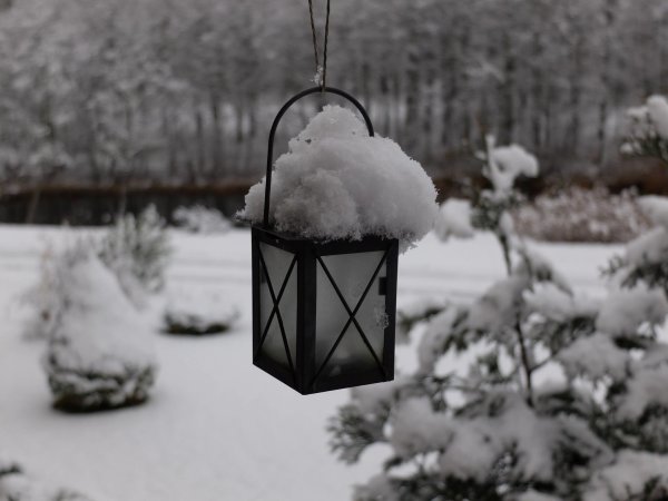 Globos namų vaikai nori pas Jus pasisvečiuoti. Priimkite!