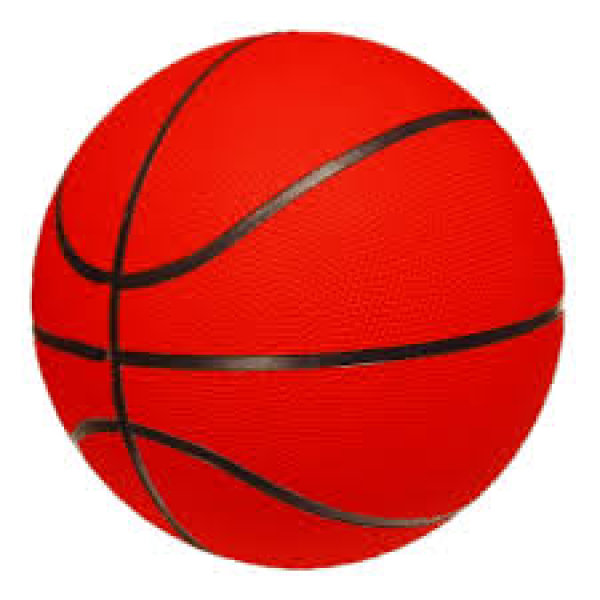 Krepšinio turnyras „Daumantų LT“ taurei laimėti