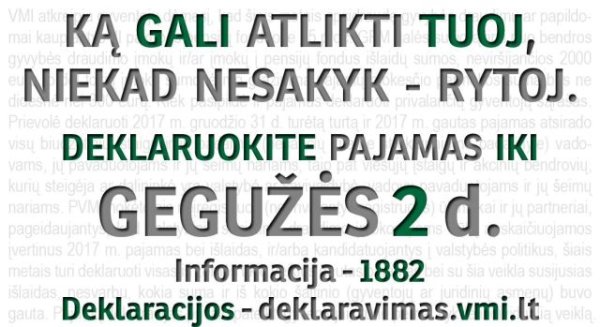 Prasidėjo gyventojų pajamų ir turto deklaravimas
