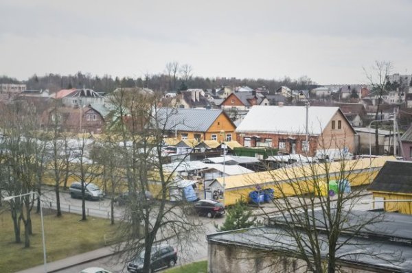 Janušavos turgavietė: kaip ji turėtų atrodyti, kas turėtų joje vykti?