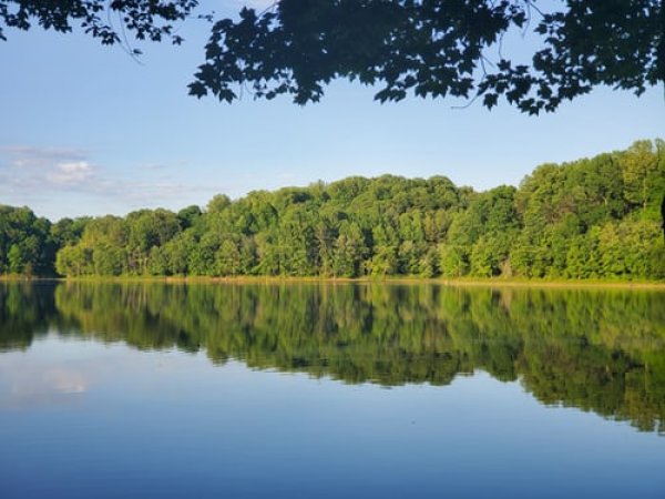 Kėdainių rajono maudyklų vandens tyrimai