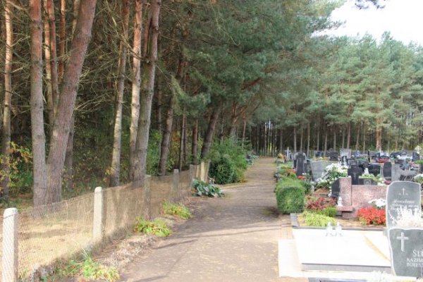 Kauno gatvėje Miškų urėdija suplanavo ir pradės darbus