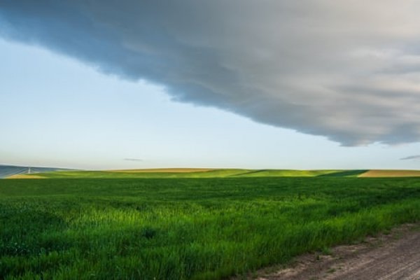Išimtinė laikina parama ūkininkams ir MVĮ, kuriuos ypač paveikė COVID-19 krizė