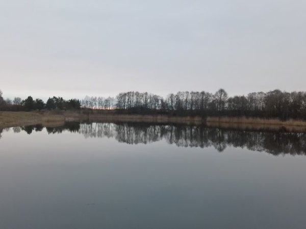 Maudymosi vietose vanduo švarus