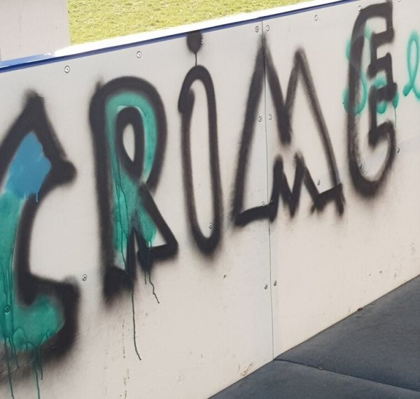 Vieni  rūpinasi, kad mieste būtų gražu, kiti viską gadina