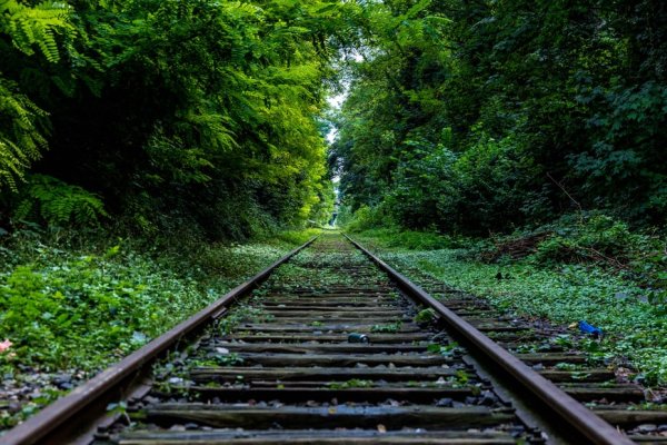 Dėl naujo keleivinių traukinių tvarkaraščio
