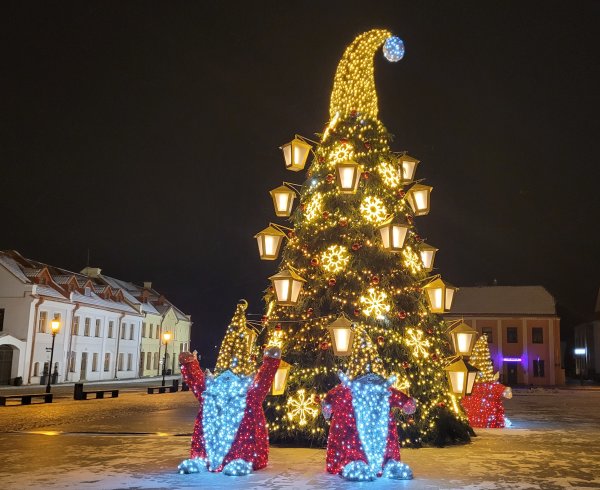 Pagrindinė miesto eglė - stebima ir saugoma