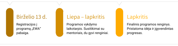 Bus pristatoma programa moterims, turinčioms verslo idėją