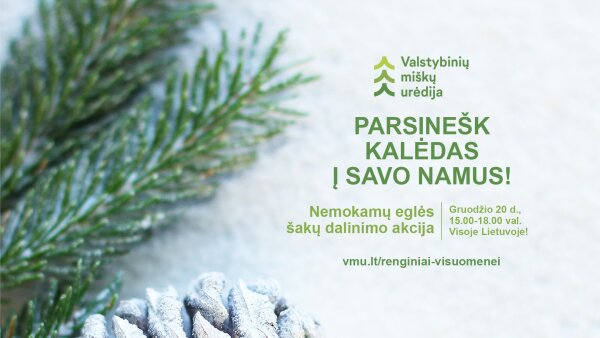 Gruodžio 20 dieną miškininkai kviečia – „Parsinešk Kalėdas į savo namus“