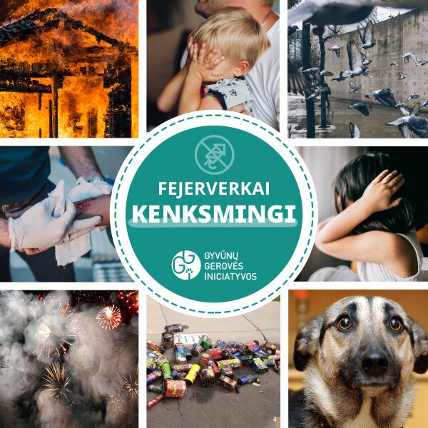Atsisakykite „pramogų” su fejerverkais    
