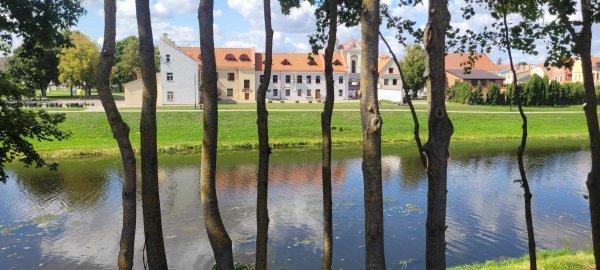 Mieste genimos medžių šakos