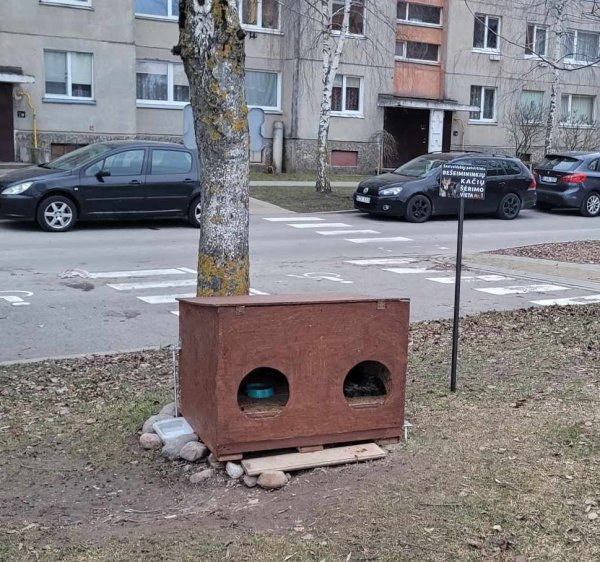 Bešeimininkes kates galima šerti tik tam nustatytose vietose