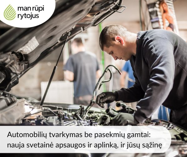 Automobilių tvarkymas be pasekmių gamtai – nauja svetainė apsaugos ir aplinką, ir jūsų sąžinę