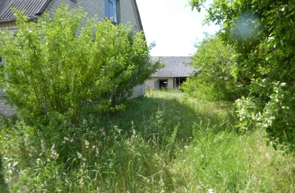 Gyventojams primename: reikia susitvarkyti savo sklypus