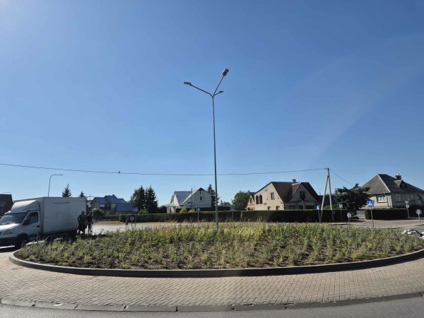Tęsiamas Kėdainių miesto apželdinimas daugiamečiais augalais