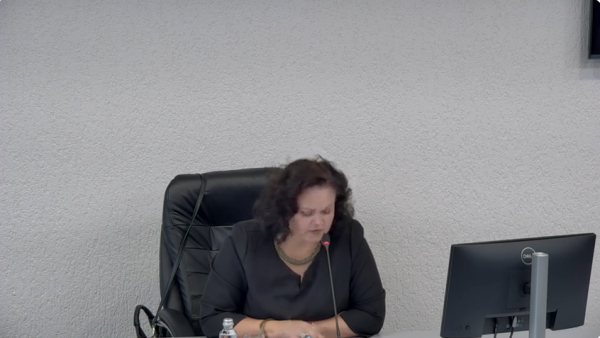 Ekonomikos ir biudžeto komiteto posėdis