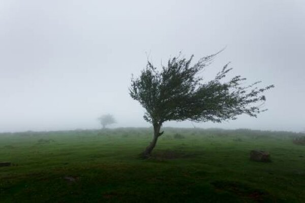 Lietuvos hidrometeorologijos tarnyba praneša: artimiausią parą kils smarkus vėjas