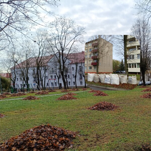 Mieste intensyviai grėbiami lapai: prisideda ir gyventojai