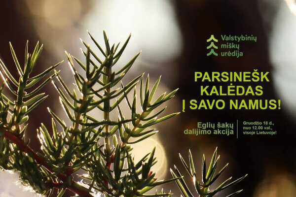 Parsinešk Kalėdas į savo namus!