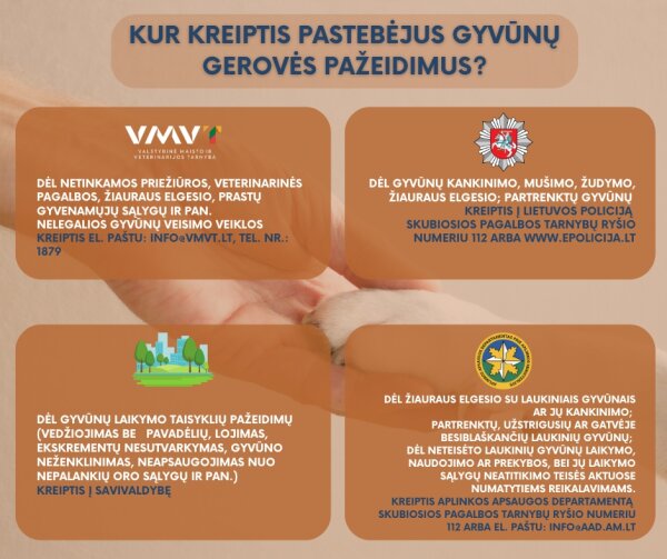 Pastebėjote gyvūnų gerovės pažeidimus? Nelikite abejingi!