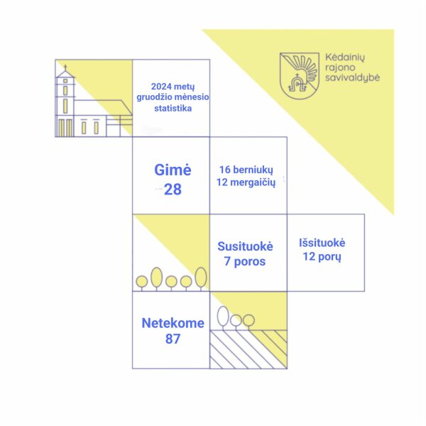 2024 m. gruodžio mėn. statistika