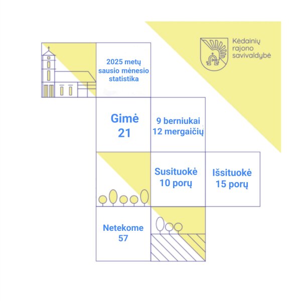 2025 m. sausio mėn. statistika