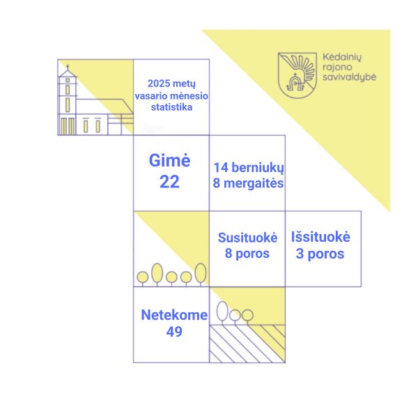 2025 m. vasario mėnesio statistika