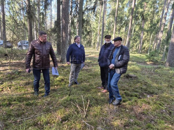 Ieškoma galimybių Pušynės miške įrengti partizanų stovyklos bunkerį