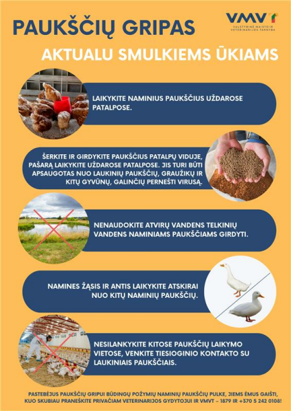Paukščių gripas vėl Lietuvoje: svarbi informacija smulkiems ūkiams 
