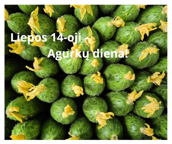 Šiandien, liepos 14-ąją, minima Agurkų diena