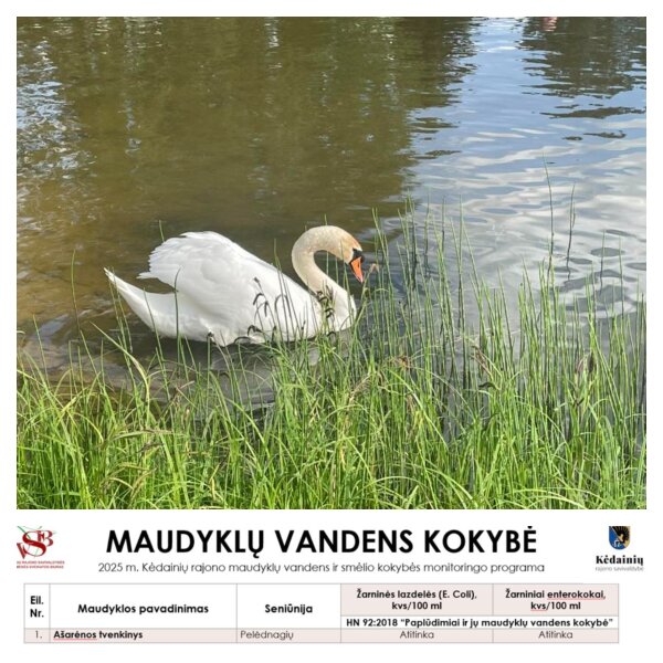 Ašarėnos tvenkinio vanduo – švarus ir saugus maudytis