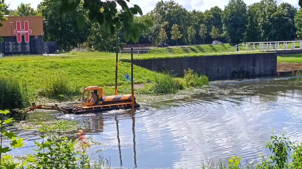 Amfibijos darbuojasi Kėdainių miesto parke!