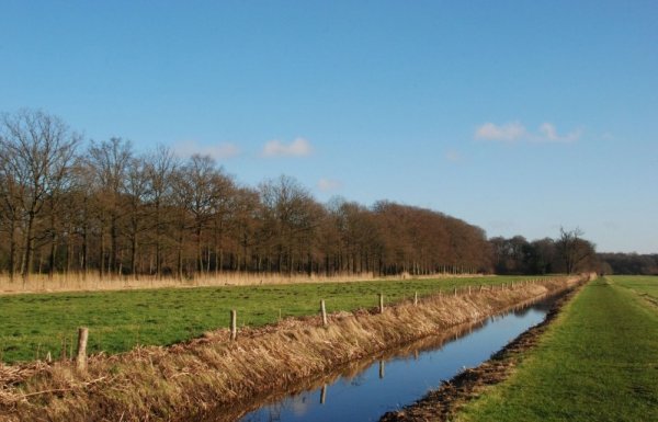 Galima teikti prašymus dėl valstybinių melioracijos statinių ir melioracijos sistemų remonto