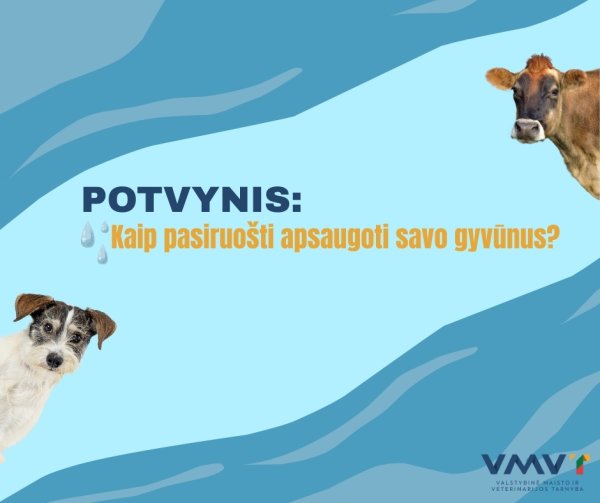 Atmintinė gyvūnų laikytojams: pasitikrinkite, ar esate saugioje nuo potvynių zonoje?
