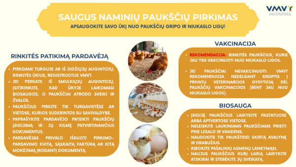 Artėjanti pavasarinė paukščių įsigijimo karštinė – kaip neparsinešti ligų į savo kiemą?