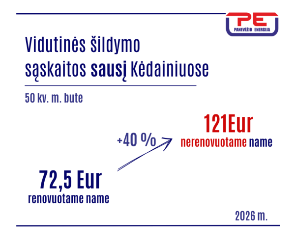 Rekordiškai šaltas sausis lėmė ženkliai didesnes sąskaitas