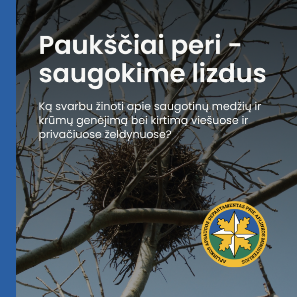Paukščių perėjimo laikotarpiu, nuo kovo 15 d. iki rugpjūčio 1 d., negalima intensyviai genėti ar...