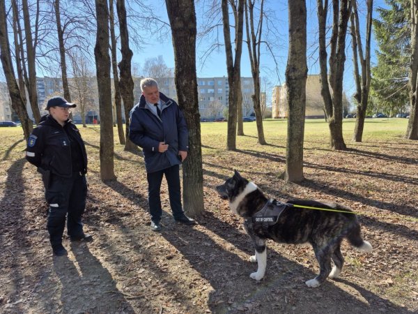 Reidas Kėdainių mieste: tikrinti kaip vedžiojami šunys