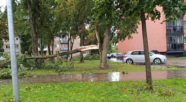 Tęsiami savaitgalį praūžusios audros padarinių šalinimo darbai