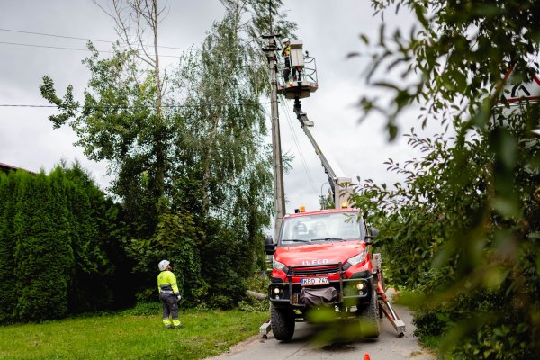 Kėdainių rajone šešios brigados šalina elektros tiekimo sutrikimus