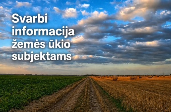 Svarbi žinia žemės ūkiui: dėl audros padarinių Vyriausybė skelbia valstybės lygio ekstremaliąją...