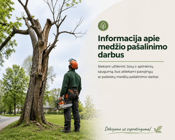 Informacija apie medžio pašalinimo darbus