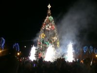 Naujais žaislais Kalėdų eglutė pasipuošė praėjusiais metais